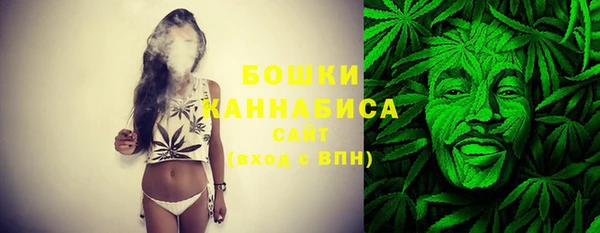 дживик Осинники