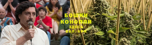 гидра Белокуриха