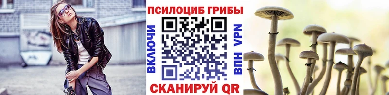 Псилоцибиновые грибы Magic Shrooms Сегежа